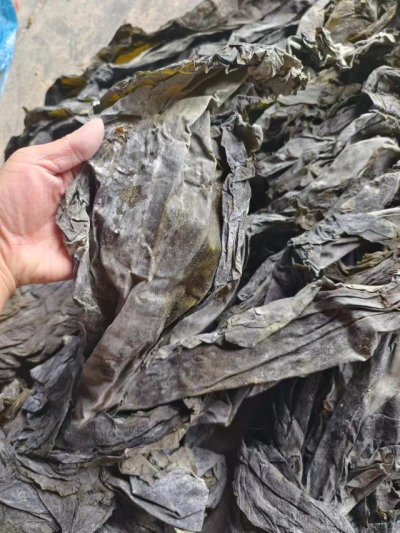 跑江湖摆地摊海带皮海带王15元模式送广告录音沙少无包心
