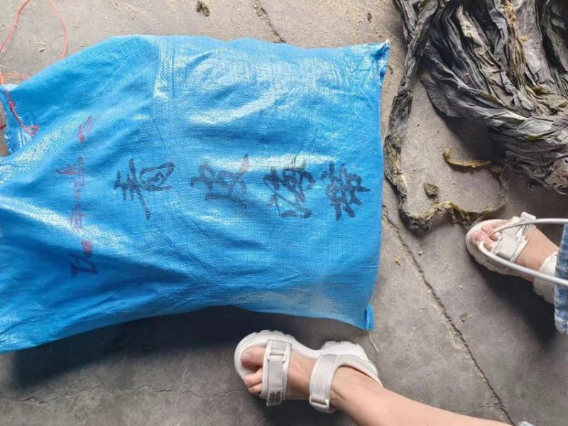 跑江湖摆地摊海带皮海带王15元模式送广告录音沙少无包心
