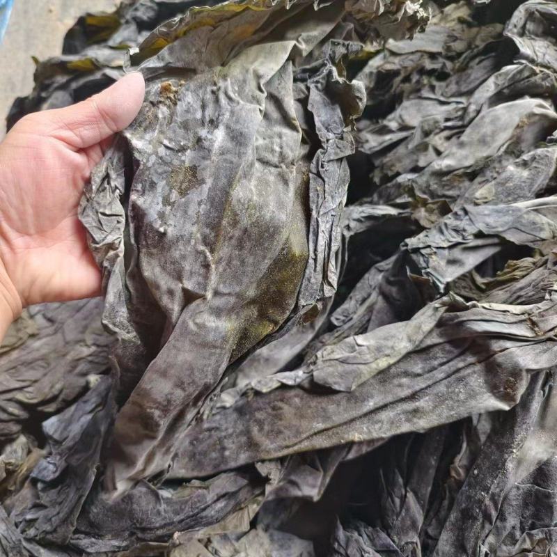 跑江湖摆地摊海带皮海带王15元模式送广告录音沙少无包心
