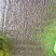 云南蒙自阳光玫瑰大量上市，电商果，市场果都有，需要的联系