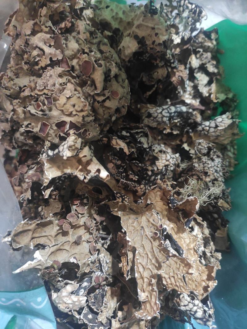 老龙皮干货常年经营各种中药材！