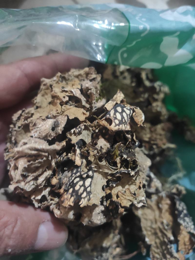 老龙皮干货常年经营各种中药材！