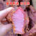 大块肉厂家直发预制菜展会五香麻辣老厂里脊大块酱香猪肉食品