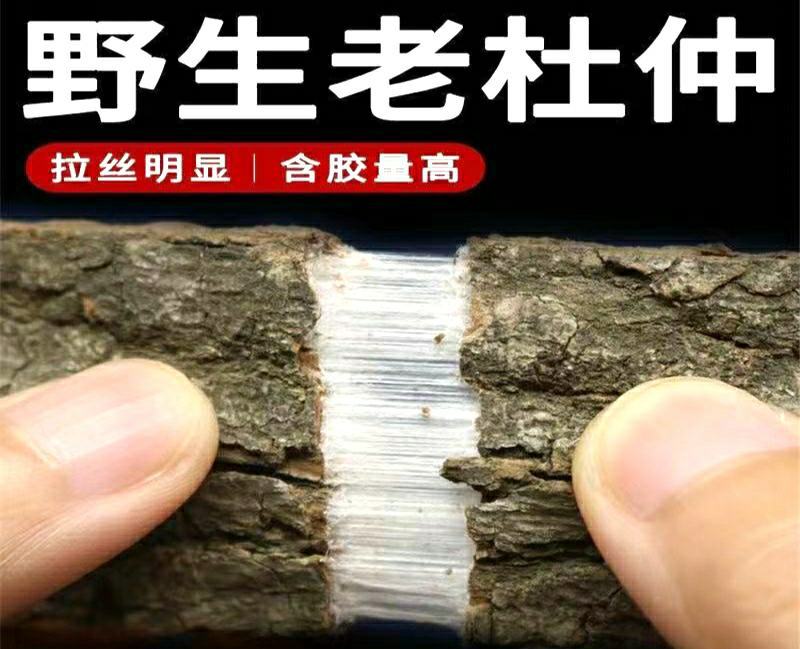 杜仲道地中药材杜仲皮泡茶泡酒煲汤保质保量包邮