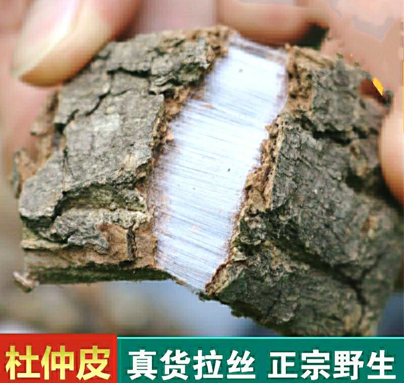 杜仲道地中药材杜仲皮泡茶泡酒煲汤保质保量包邮