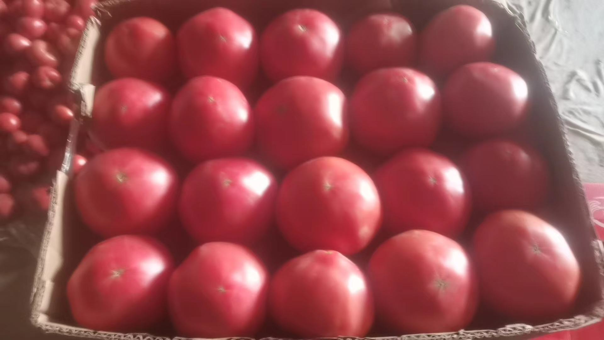 西红柿保鲜技巧