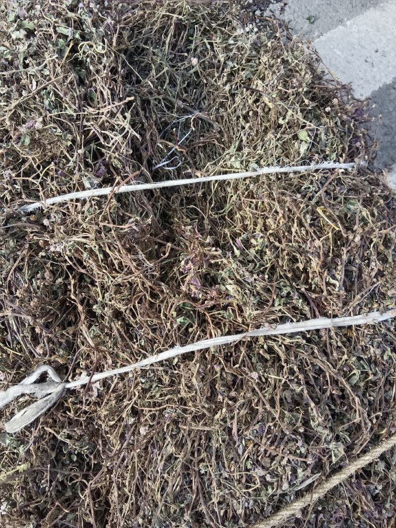 头花蓼贵州黔西南，100斤信卖，新产干货，质量保证。