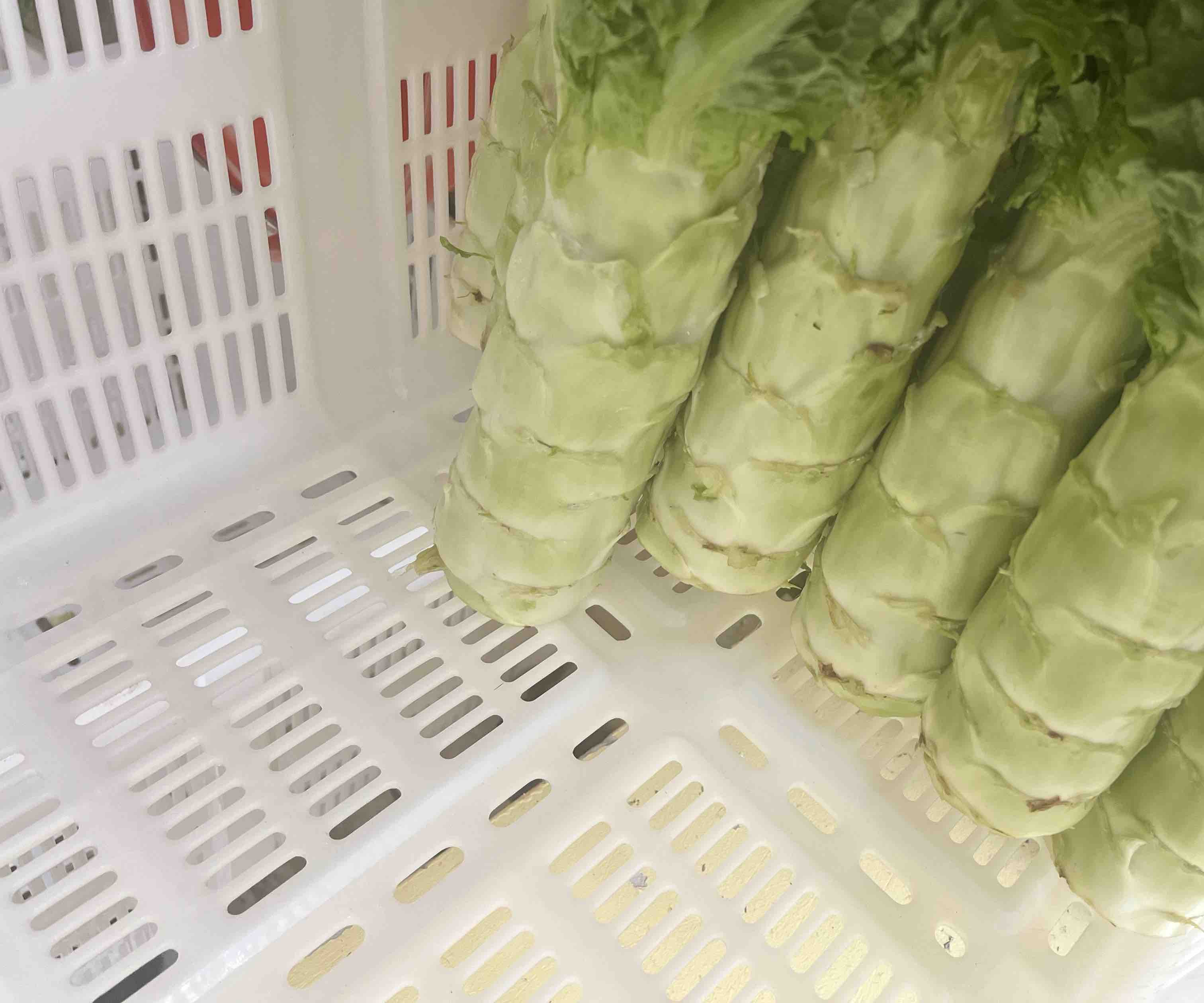 红菜苔原材料展示