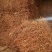 头花蓼贵州黔西南，100斤信卖，新产干货，质量保证。