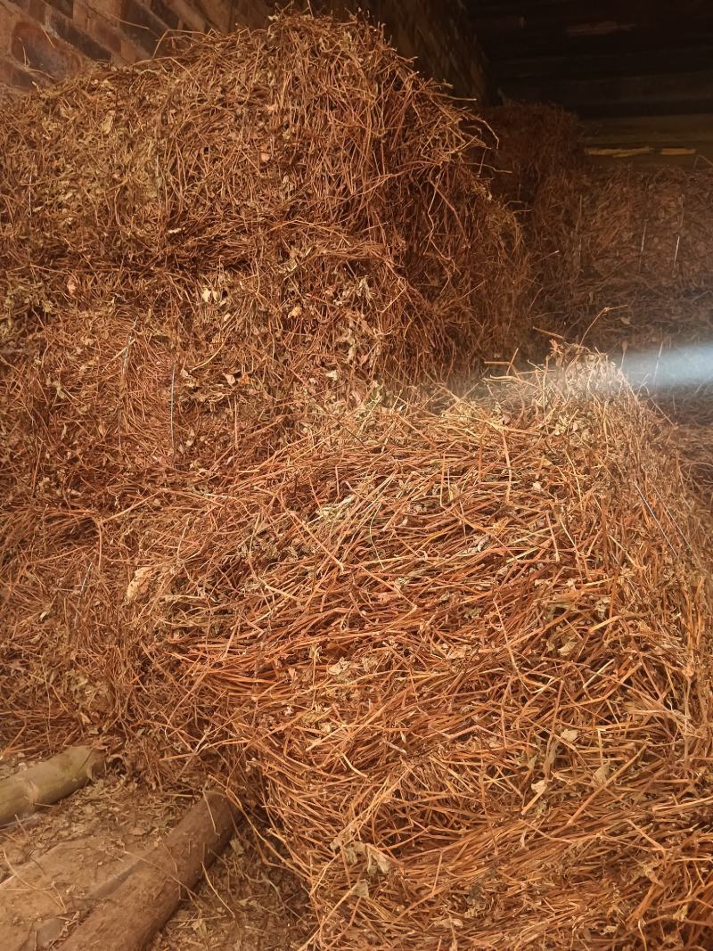 头花蓼贵州黔西南，100斤信卖，新产干货，质量保证。