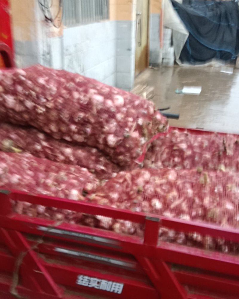 大蒜