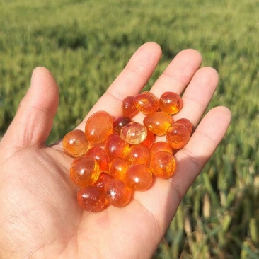 【牛商优选】黄红颗粒桃胶保质保量精选特级桃胶新货