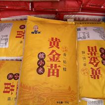 河南郑州万邦粮食供应陈小米工厂用磨面小米价格低欢迎来电