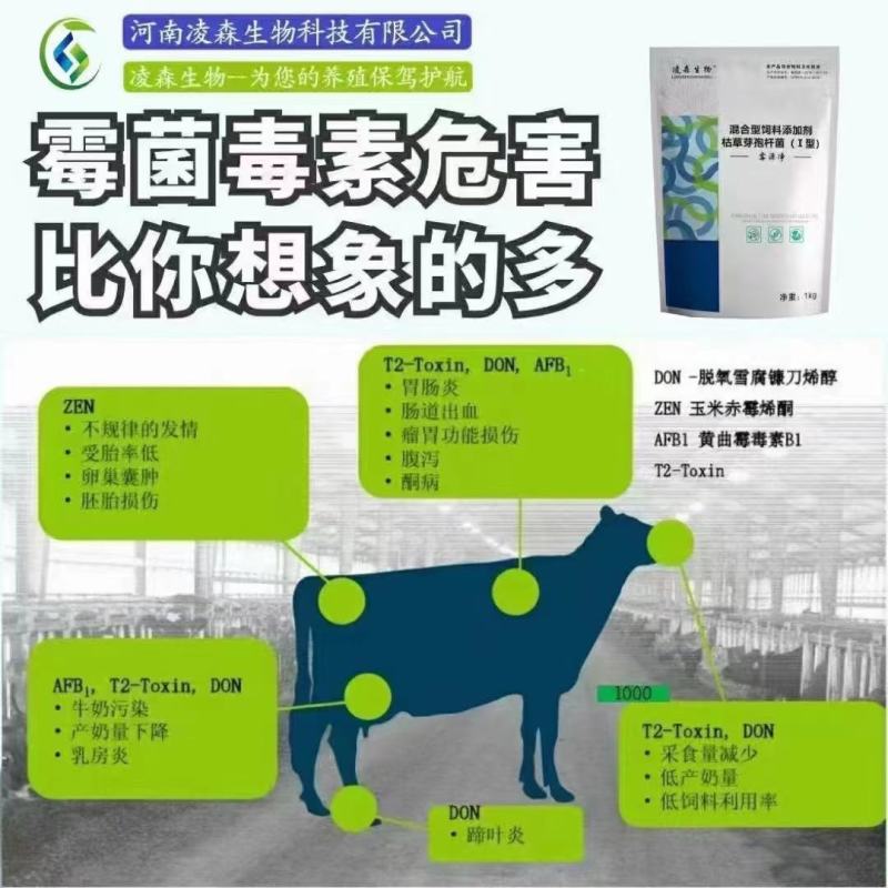 猪饲料日长三斤肥猪菜，猪催肥饲料，肥猪吃了长得快，