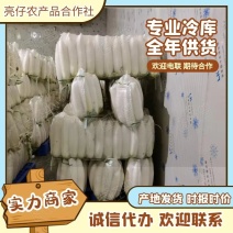 白萝卜榆林精品白萝卜产地直发对接全国市场电商平台欢迎来电