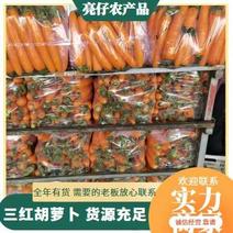 胡萝卜大量有货对接全国，量大从优，欢迎来电咨询！！！！！