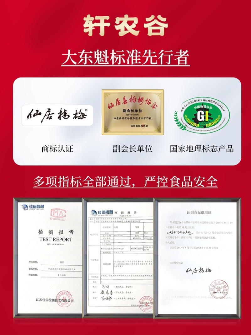 仙居杨梅皇新鲜正宗浙江东魁杨梅当季水果鲜果现摘现发特大果