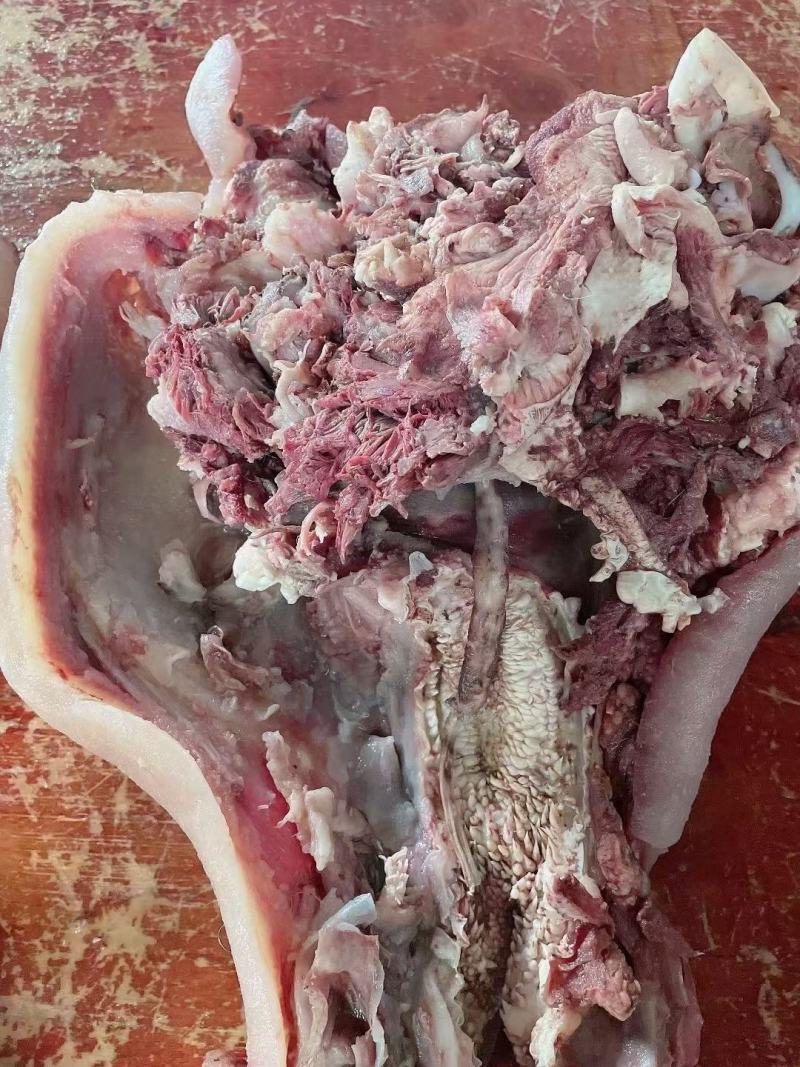 精修牛脸肉全熟，五香都有现货，熟度好，价格稳定，质量保证