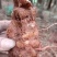 野生新鲜白肉土茯苓