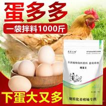 蛋禽增蛋饲料，增蛋王提高产蛋率，延长产蛋高峰，减少过料