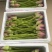 荷花基地直供全国各地大量供应发货观赏花粉荷花