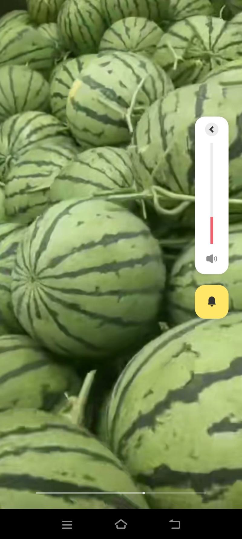 甜王，京欣等品种为主，8成熟以上