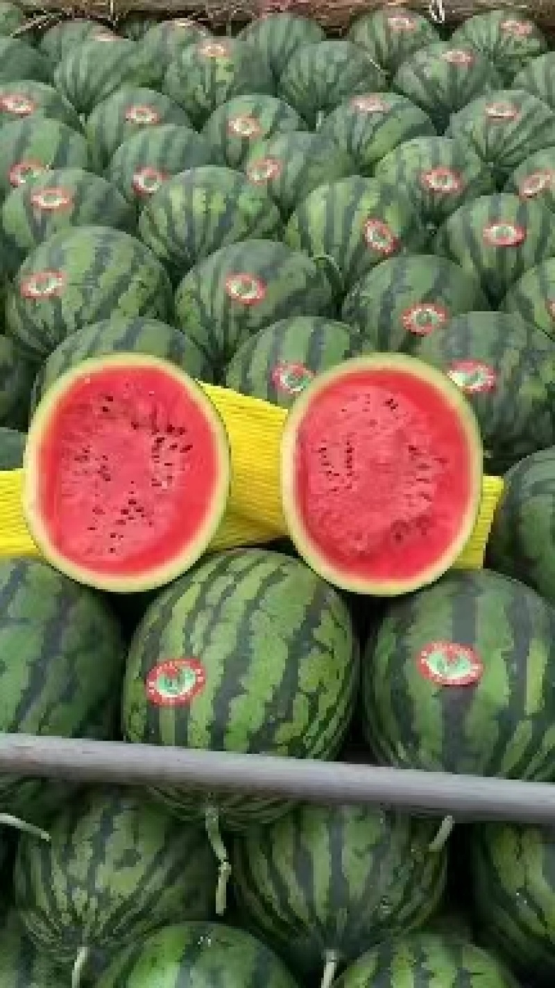 大量供应，精品甜王