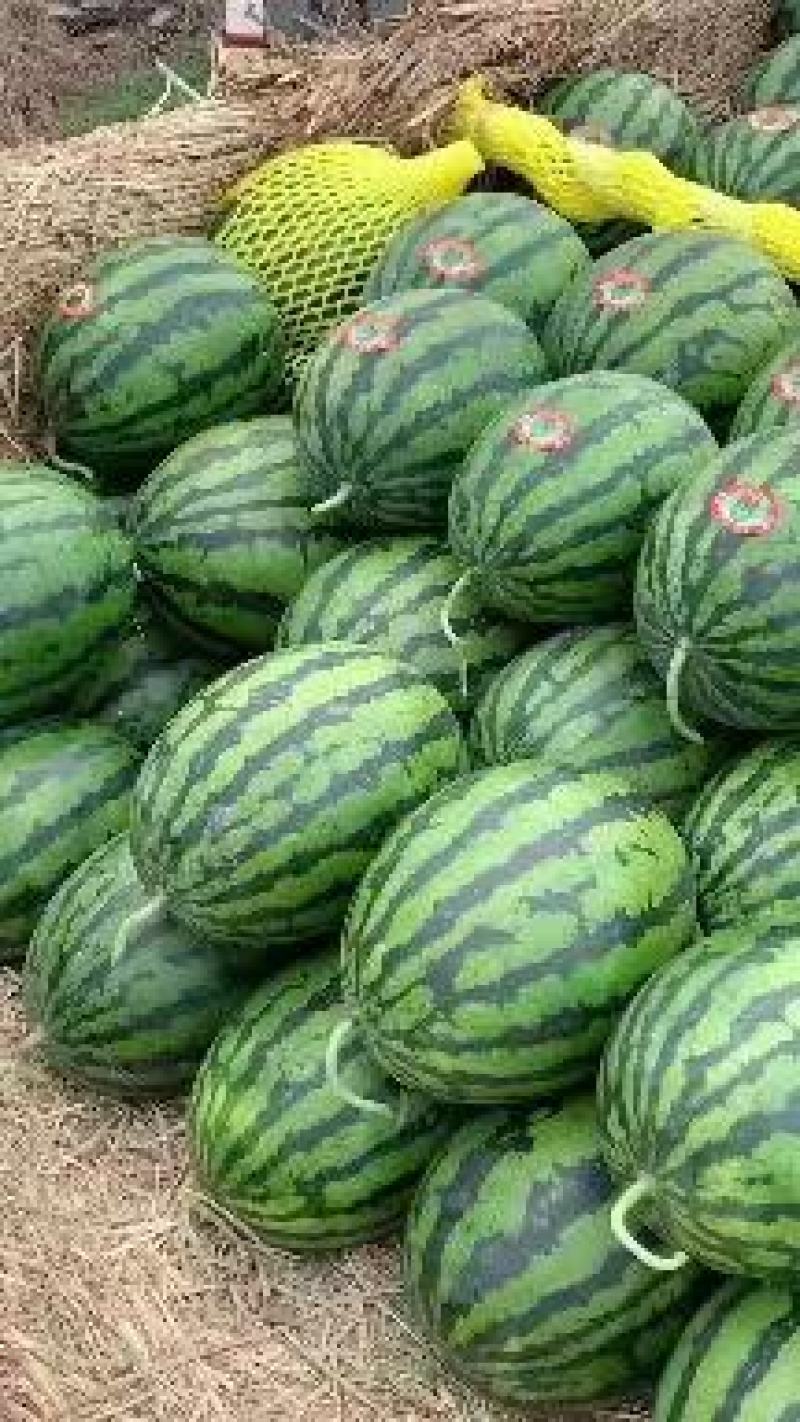 大量供应，精品甜王