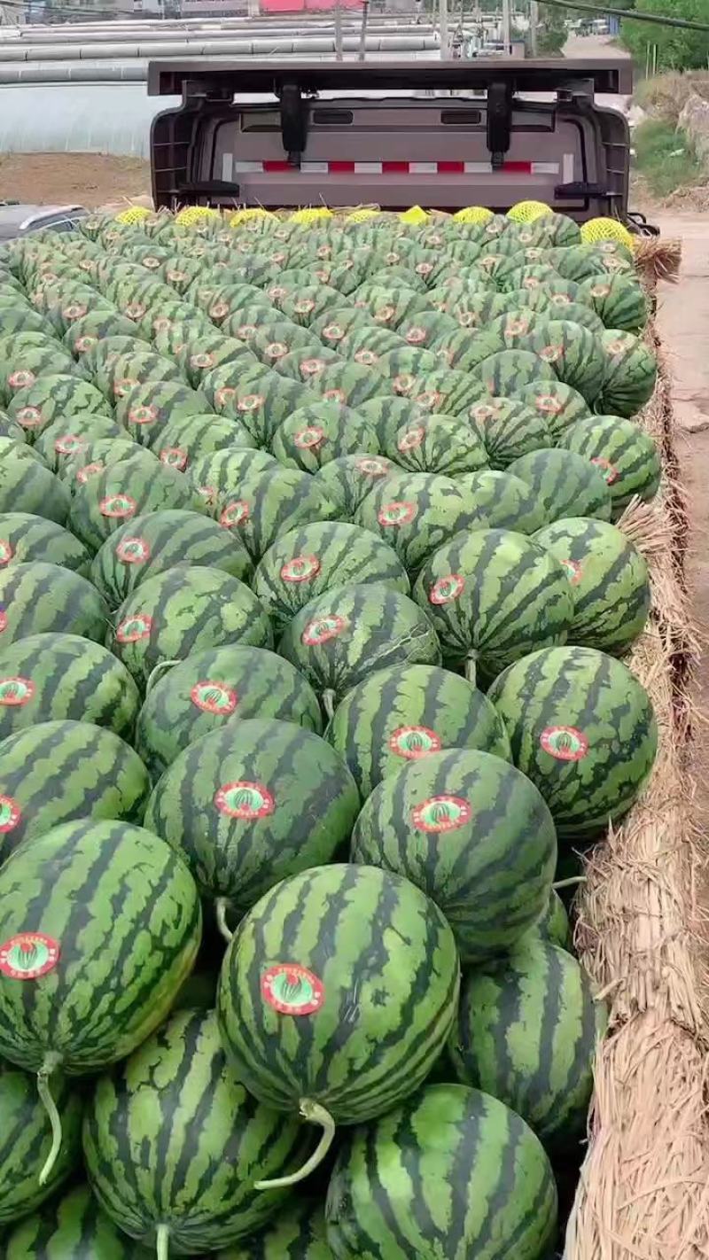 大量供应，精品甜王