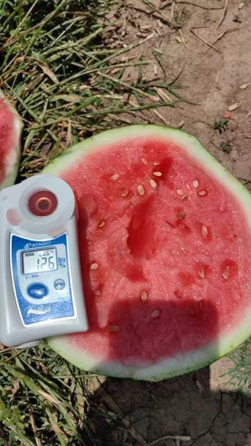 精品美都，大量上货中，支持各种规格打包专业团队