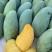 百色芒果