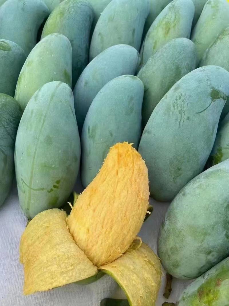 百色芒果