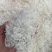 雪燕，龙须雪燕，小龙须雪燕，拉丝雪燕