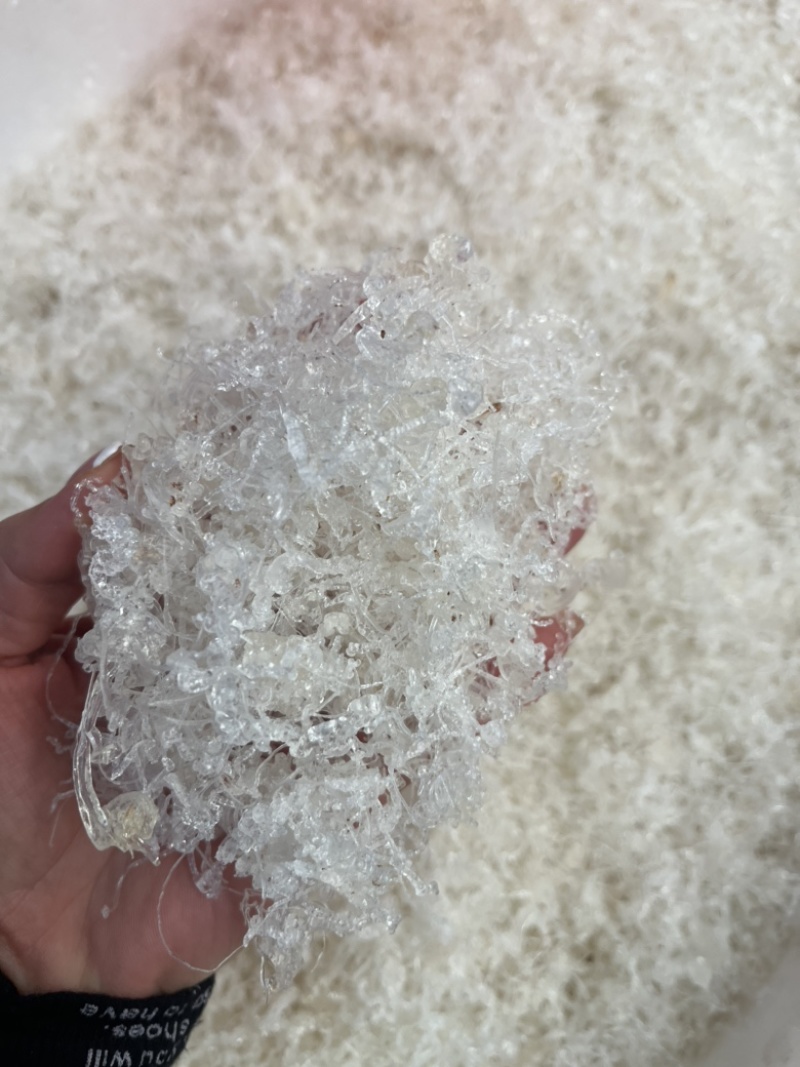 雪燕，龙须雪燕，小龙须雪燕，拉丝雪燕