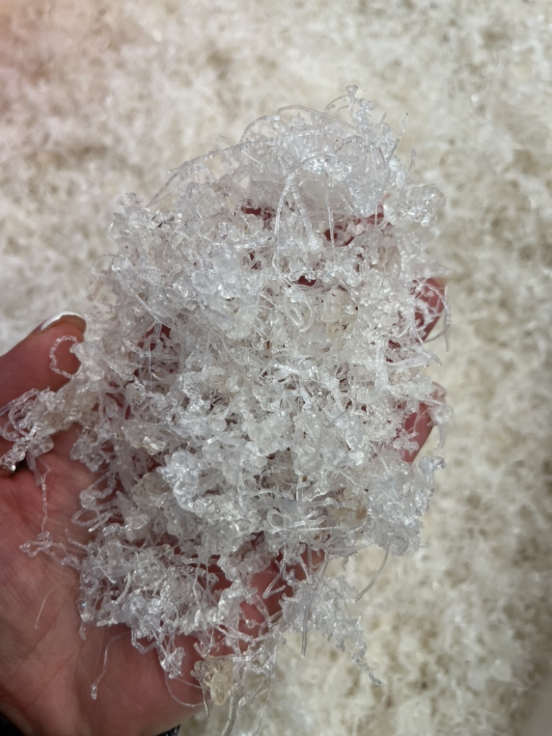 雪燕，龙须雪燕，小龙须雪燕，拉丝雪燕