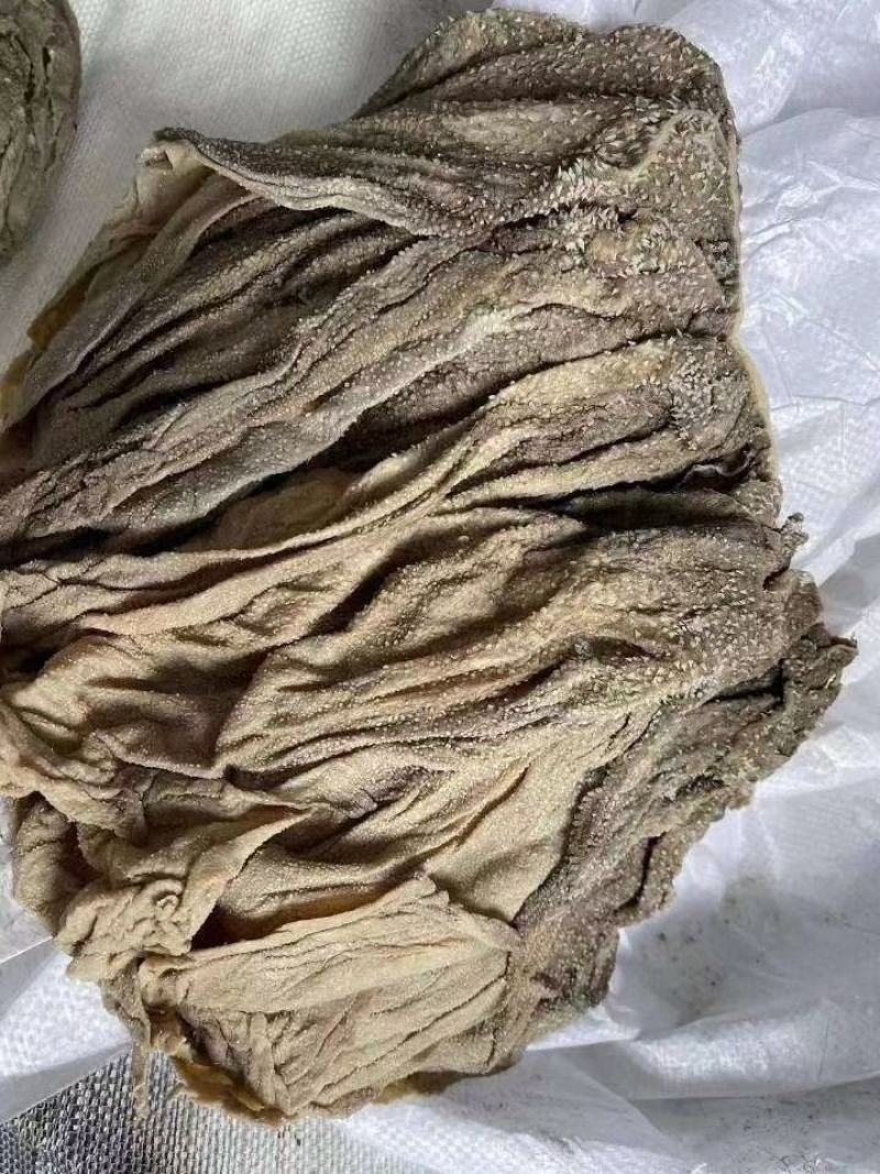 掉毛百叶可视频看货保证质量全国发货可长期合作