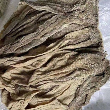 掉毛百叶可视频看货保证质量全国发货可长期合作