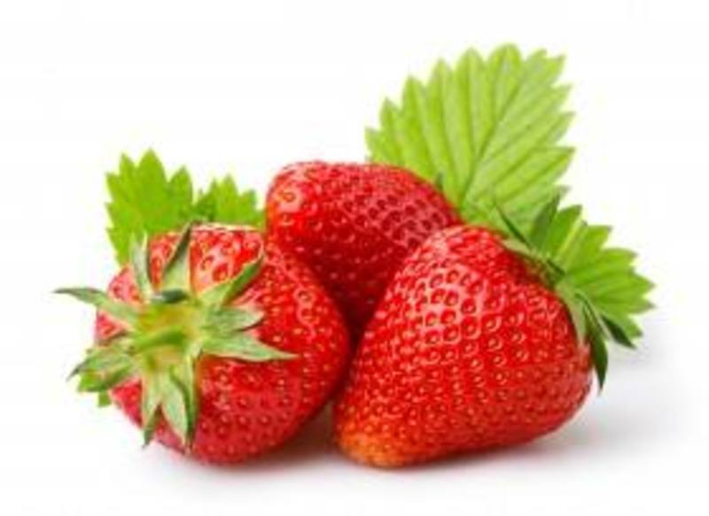 山东临沂陆地草莓，九香草莓红颜草莓甜宝草莓