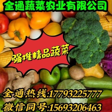 各种蔬菜