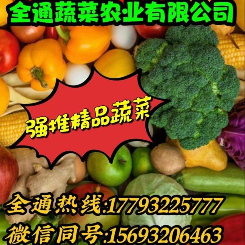 各种蔬菜