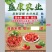 精品千禧