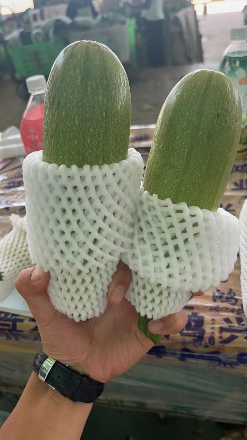 各种蔬菜
