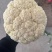 各种蔬菜