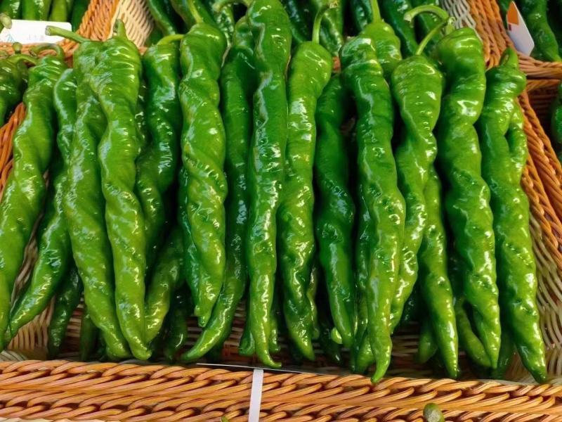 各种蔬菜