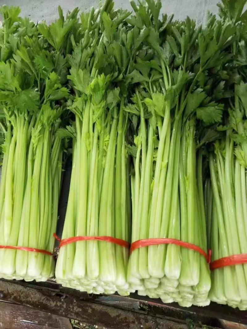 各种蔬菜