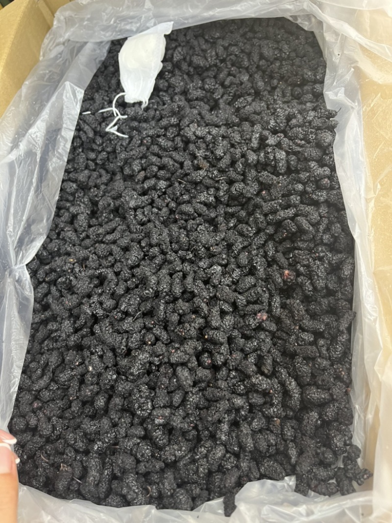 桑葚干，水洗桑葚干一手货源，桑葚，可发快递，物流