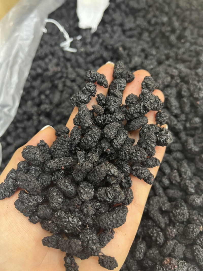 桑葚干，水洗桑葚干一手货源，桑葚，可发快递，物流
