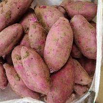 【紫薯】湖北紫罗兰紫薯红薯软糯无丝供应商超市场电商