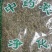石上柏诚信经营干货中药材欢迎选购！量大从优