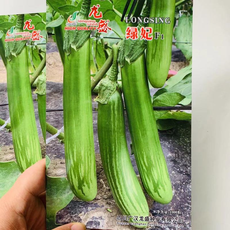 龙盛绿妃茄子种子绿长茄种子绿萼竹丝茄种籽卖相好丰产耐运